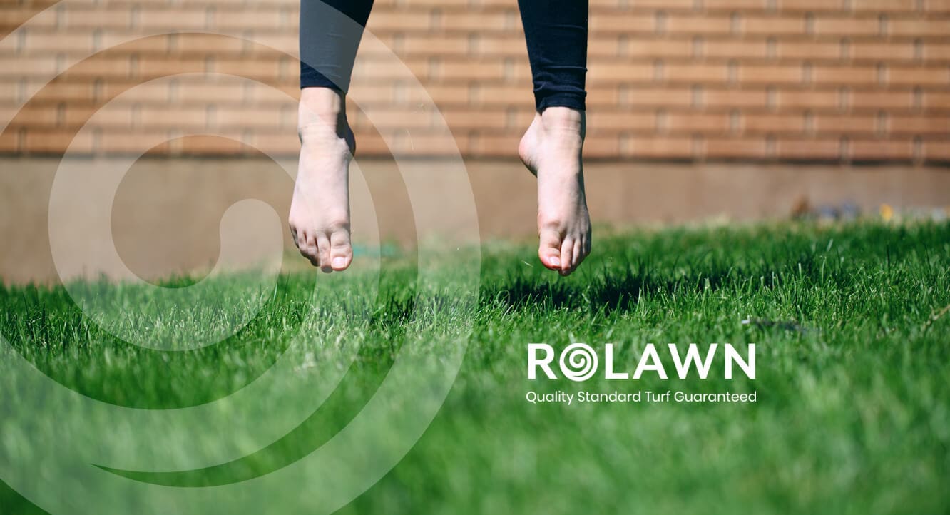 ROLAWN Quality Standard Turf Guaranteed Ready to Roll Lawn